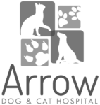 Arrow dog and cat hospital