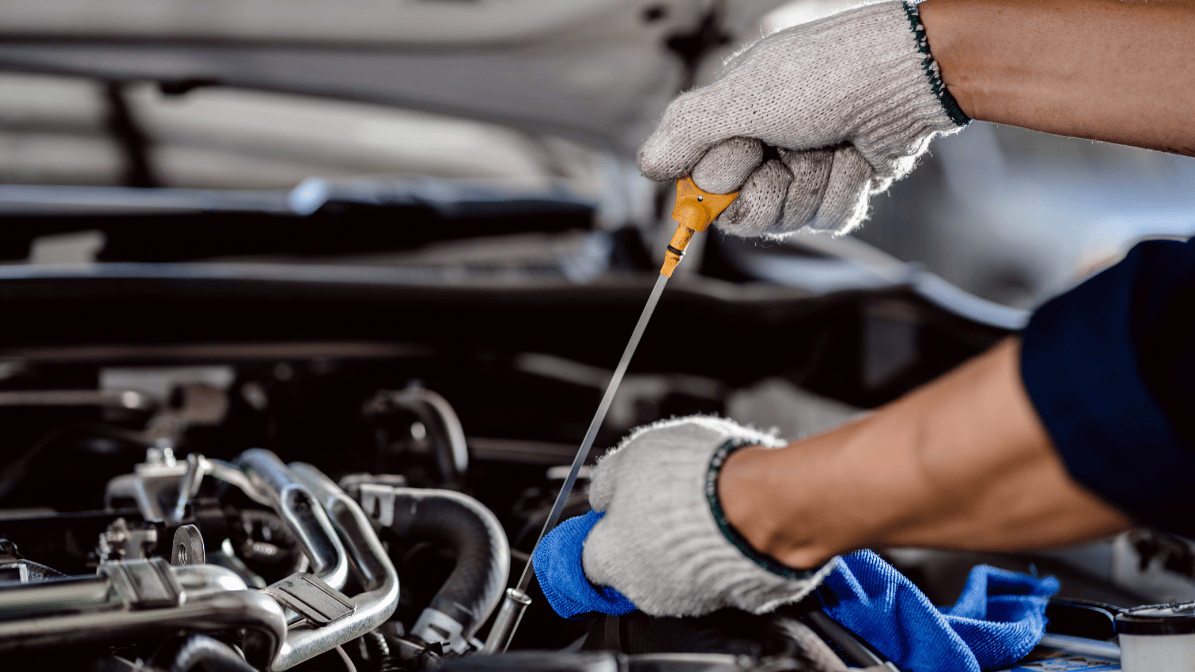 Convential or Synthetic Oil